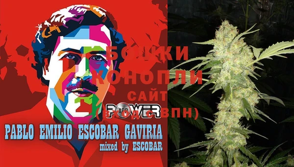 бошки Вязьма