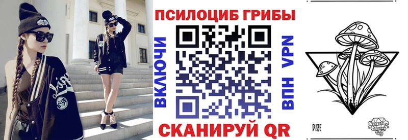 Галлюциногенные грибы Cubensis  блэк спрут ссылки  Жирновск 