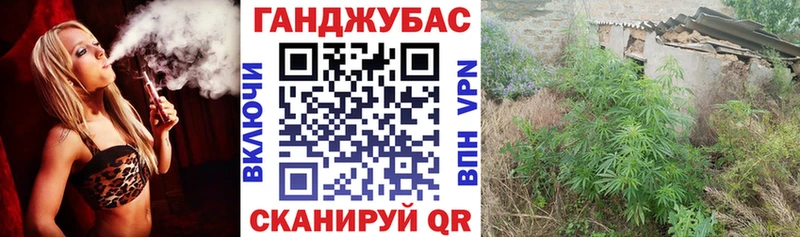 купить наркоту  Жирновск  KRAKEN сайт  МАРИХУАНА семена 